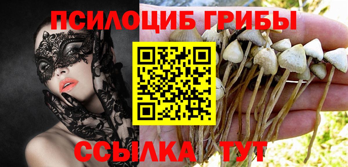Галлюциногенные грибы Psilocybine cubensis Муравленко